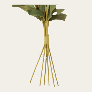 Tan Pompom Pick With Green Eva Leaves 6 Stem Bundle  - 13 Inch