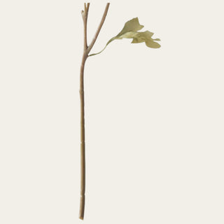 Close-up of the slender brown wired stem on the 21-inch Dark Orange Ranunculus, designed to be gently shaped for petite and everyday floral arrangements.