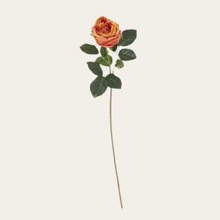 Single 24-inch Orange True Bloom Real Touch Austin rose stem with layered warm petals, realistic foliage, and flexible wired stem for year-round floral arrangements and rich seasonal styling.