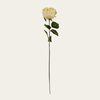 Single 24-inch Yellow True Bloom Real Touch Austin rose stem with layered golden petals, realistic foliage, and flexible wired stem for year-round floral arrangements because warm yellow tones pair beautifully with both soft neutrals and deeper seasonal florals.
