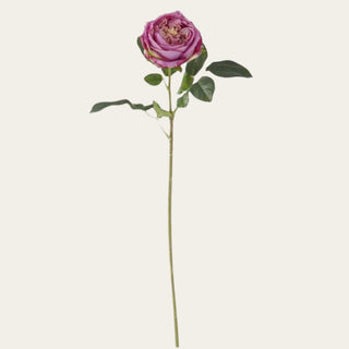 Single 24-inch Dark Purple True Bloom Real Touch Austin rose stem with layered plum-purple petals, realistic foliage, and flexible wired stem for romantic year-round floral arrangements and rich seasonal styling.