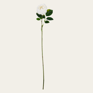 Single 24-inch White True Bloom Real Touch Austin rose stem with layered white petals, realistic foliage, and flexible wired stem for elegant year-round floral arrangements and timeless garden-inspired styling.