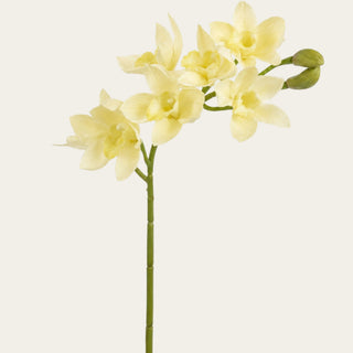 27 inch artificial buttercream cymbidium orchid stem with realistic faux blooms and unopened buds for luxury floral arrangements and bridal designs.