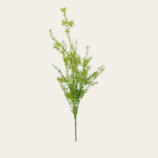 Single faux asparagus fern spray with airy feathery green foliage and flexible stems for layering into floral arrangements and modern greenery styling.