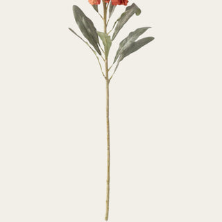 Close-up of the Orange Stock Stem showing muted sage-green leaves, branching detail and wired construction designed for gentle shaping in arrangements.