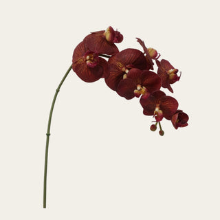 31 Inch Brown Real Touch Orchid Stem with cascading burgundy-brown blooms for statement and narrow-neck vases and fall and winter floral arrangements.