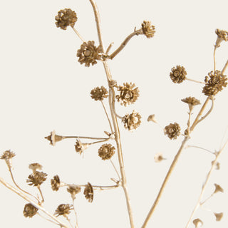 Close-up of the artificial Gilded Baby's Breath Stem showcasing champagne gold faux blooms, delicate branching, and fine botanical texture.