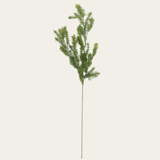 Single 36-inch faux dill spray with airy green foliage, feathery texture, and flexible wired stems for layering into floral arrangements and greenery styling.

