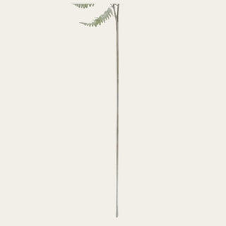 Detailed view of 36 inch green real touch ostrich fern stem with wired flexible construction, ideal for shaping wide-mouth, standard opening, narrow-neck, and everyday vase arrangements.