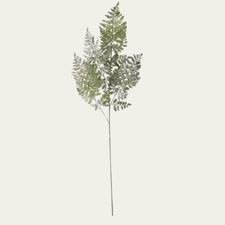 36 inch real touch royal fern stem shown on a warm cream background with soft green fern fronds, a long slender wired stem, and airy botanical texture for adding movement and filler greenery to faux floral arrangements.