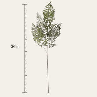 36 inch real touch royal fern stem shown with a vertical measurement scale on a cream background, highlighting the full 36 inch height, soft green fern fronds, and long slender wired stem for floral arrangement styling.