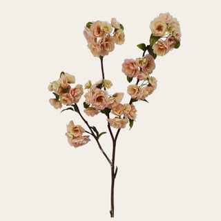 41 inch light peach and linen True Bloom Real Touch blossom branch with soft layered blooms, realistic faux leaves, and wired shapeable branch structure for adding height and movement to spring, summer, and fall arrangements.
