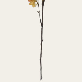 Close-up of the long brown wired stem and branching construction of the 42-inch artificial cherry blossom, designed for shaping in tall floral arrangements.