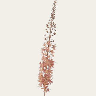 Close-up of an artificial peach faux foxtail lily stem showcasing realistic star-shaped blooms, soft peach tones, and a natural flowering spike designed for elegant year-round floral arrangements.
