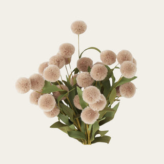 Tan Pompom Pick With Green Eva Leaves 6 Stem Bundle  - 13 Inch