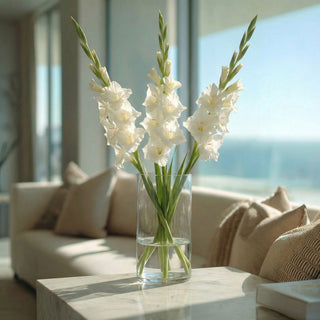 White Gladiolus Used as an Anchor Stem styled in a clear vase on a marble table in a modern home