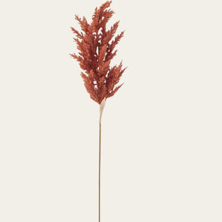 43 inch artificial burnt terracotta sorghum grass stem with realistic faux seed heads, architectural height, and natural texture for designer fall floral arrangements.