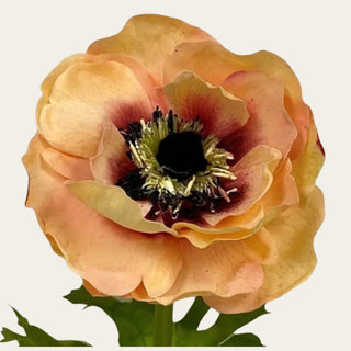 Close-up of an artificial Coral Real Touch anemone bloom showcasing realistic layered petals, detailed center, and lifelike texture.