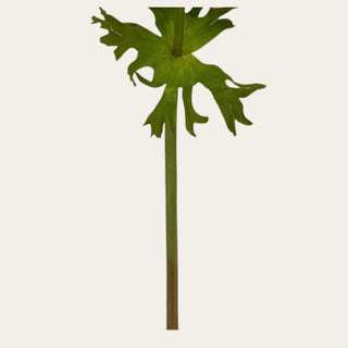 Stem detail of a 17.5 inch artificial Coral Real Touch anemone featuring realistic green foliage and a wired, shapeable stem for floral design.