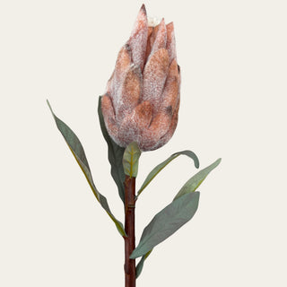 Close-up of an artificial Light Brown Mink protea stem featuring a realistic faux textured bloom for designer floral styling.