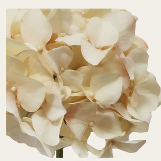 Close-up of the beige dried faux hydrangea petals showing the soft neutral color, layered petal shape, and dried floral texture used to add fullness to seasonal arrangements.