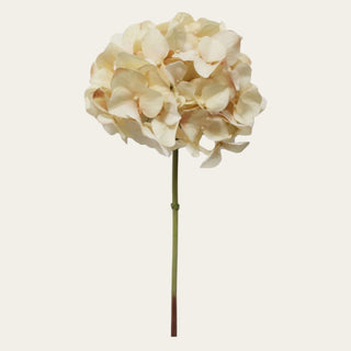 Beige Dried Faux Hydrangea Stem shown in full view with a soft neutral hydrangea head and wired flexible stem for everyday, narrow-neck, standard, and statement vase arrangements in late summer, fall, and winter.