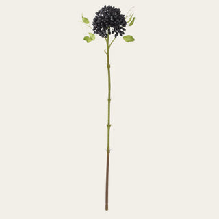 Black real touch sedum stem with textured clustered blooms that adds contrast to summer, fall, and winter arrangements; pairs beautifully with cream roses, white hydrangeas, peonies, ranunculus, and seeded greens because the dark bloom color grounds lighter florals and gives arrangements more depth and visual structure.