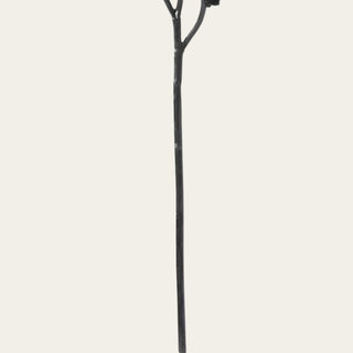Detailed view of the black faux amaranthus stem showing its wired faux construction, flexible shape, and textured branching used for controlled movement in arrangements.
