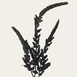Close-up of black faux amaranthus showing textured floral strands with a sculptural, matte finish that adds depth and contrast to faux floral arrangements.