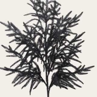 Close-up of Black Real Touch artificial Norfolk pine showing finely layered feathery branch tips, dense texture, and deep black finish for seasonal floral arrangements.