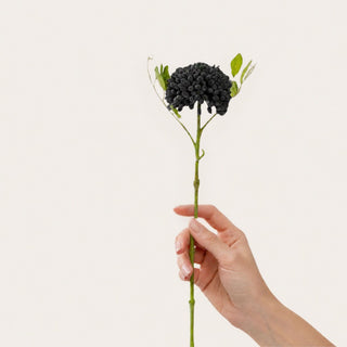 Maddie’s hand holding the black real touch sedum stem to show its scale, rounded clustered bloom head, deep black coloring, green stem, and realistic texture as it appears in person.