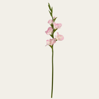 Single blush pink and white True Bloom gladiolus stem with soft real touch blooms and green stem shown