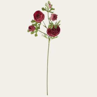 Burgundy True Bloom Real Touch 5-Head Ranunculus Spray Stem with multiple blooms and buds; pairs beautifully with pale yellow roses, peach dahlias, cream sedum, and white florals because the rich color adds depth while the multiple bloom stages create movement and fullness throughout arrangements.
