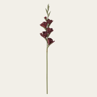 Single burgundy True Bloom real touch gladiolus stem with deep wine blooms and green stem shown