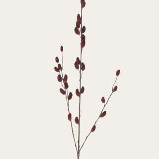 Close-up of burgundy velvet willow stem with soft textured buds and flexible branching, designed to pair with black sedum, eggplant anemones, hellebores, ostrich fern, and seasonal faux florals.
