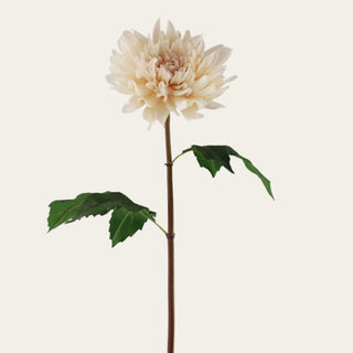 19.5-inch Cashmere Cream True Bloom Real Touch Dahlia Stem featuring layered cream petals, realistic texture, and a flexible wired stem that pairs beautifully with roses, eucalyptus, filler florals, and year-round arrangements from spring through winter.