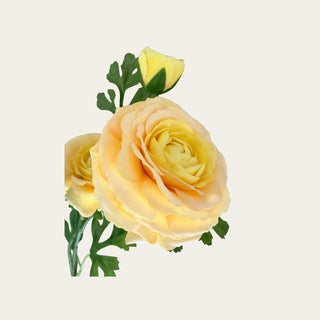 Close-up of a yellow real touch ranunculus bloom with layered ruffled petals, soft buttery yellow coloring, and lifelike petal detail