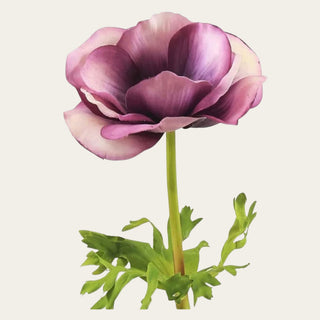 Close-up of Eggplant Real Touch Anemone petals showing realistic color variation and texture; the darker center creates depth and balance in seasonal arrangements from Spring - Winter