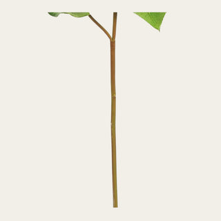 Detailed view of the faux green salal leaf stem structure featuring realistic branching and flexible stems that provide professional floral designers with movement, texture, and arrangement support in every season.