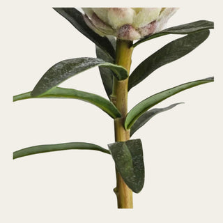 Close-up detail of the white flocked king protea stem and foliage showing velvety textured leaves, sculptural branching, and realistic floral construction for modern organic arrangements.
