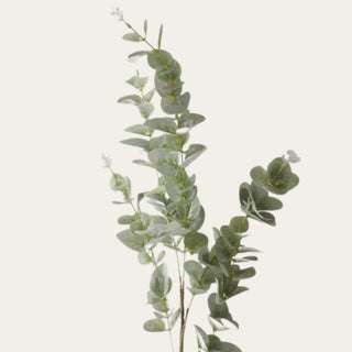 Close up leaf details Light Green Gunnii Eucalyptus Stem featuring soft rounded faux eucalyptus leaves on a tall 38-inch wired branch, ideal for adding height, greenery, texture, and natural movement to floral arrangements, tall vases, and year-round home décor styling.
