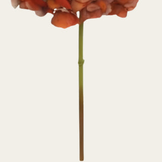 Close-up of the stem on a 19 inch artificial faux dried antique brown hydrangea, featuring realistic botanical construction and natural-looking finish for premium floral styling.
