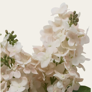 Close up view of cream True Bloom lilac blooms showing soft layered petals, pale cream coloring, realistic green buds, and natural floral detail for a lifelike faux lilac stem.