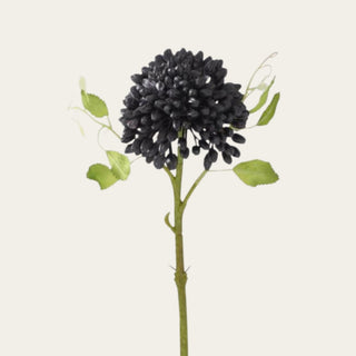 Close up view of real touch black sedum stem on a cream colored background