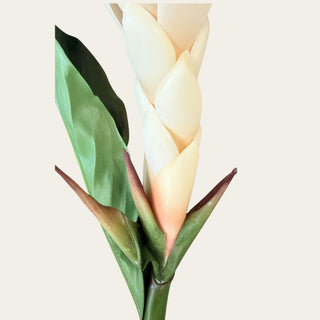 Close-up of the Faux Cream Apricot Ginger Stem showing the cream-apricot bloom base, green faux leaf detail, and layered petal structure for tropical-inspired spring, summer, and fall floral arrangements.