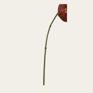 Close-up of the 31 Inch Brown Real Touch Orchid Stem showing its curved green stem and flexible construction for shaping floral arrangements.
