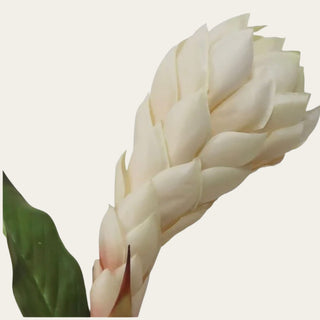 Close-up of the Faux Cream Apricot Ginger flower showing layered faux petals and soft warm coloring, designed for sculptural floral arrangements with tropical greenery, orchids, calla leaves, palms, and seasonal stems.