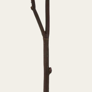 Orange Faux Dried Pomegranate Branch - 28 Inch