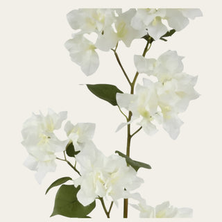 Close-up detail of creamy white faux bougainvillea blooms showing airy layered petals, delicate floral texture, and soft garden-inspired movement for relaxed year-round floral styling.