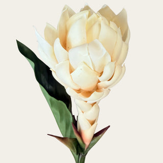 Close-up top view of the Faux Cream Apricot Ginger Stem showing layered cream petals with soft apricot warmth, styled as a sculptural focal flower with calla leaves, orchids, palms, hydrangeas, and seasonal greenery.